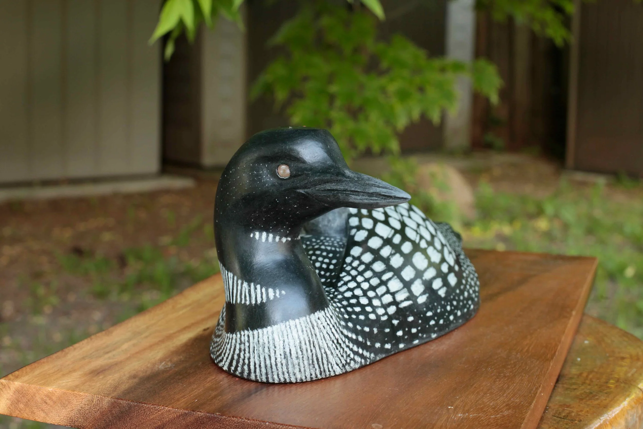 Guide - Loons - 3.jpeg