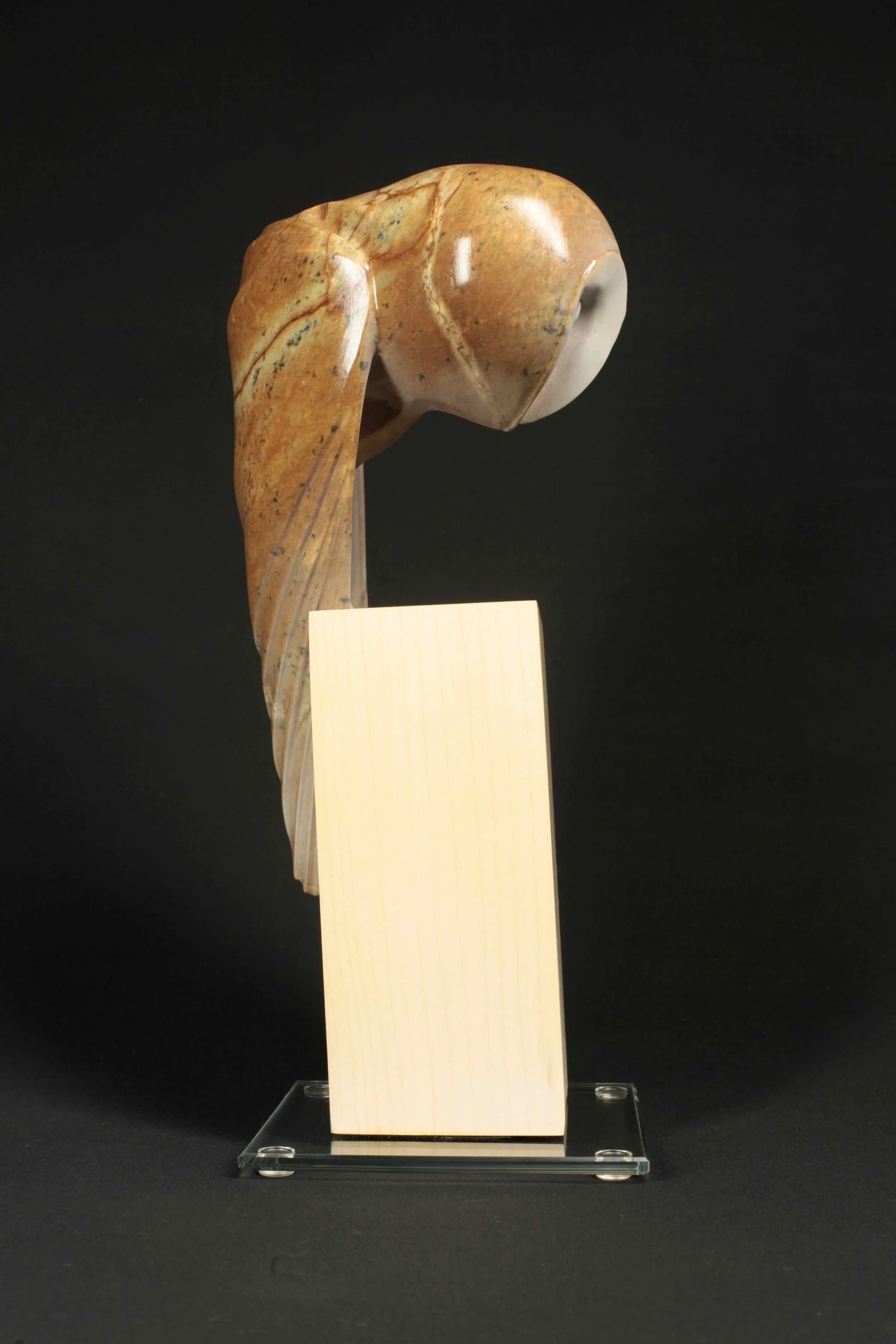 Nocturnae - Barn Owl - 6.jpeg