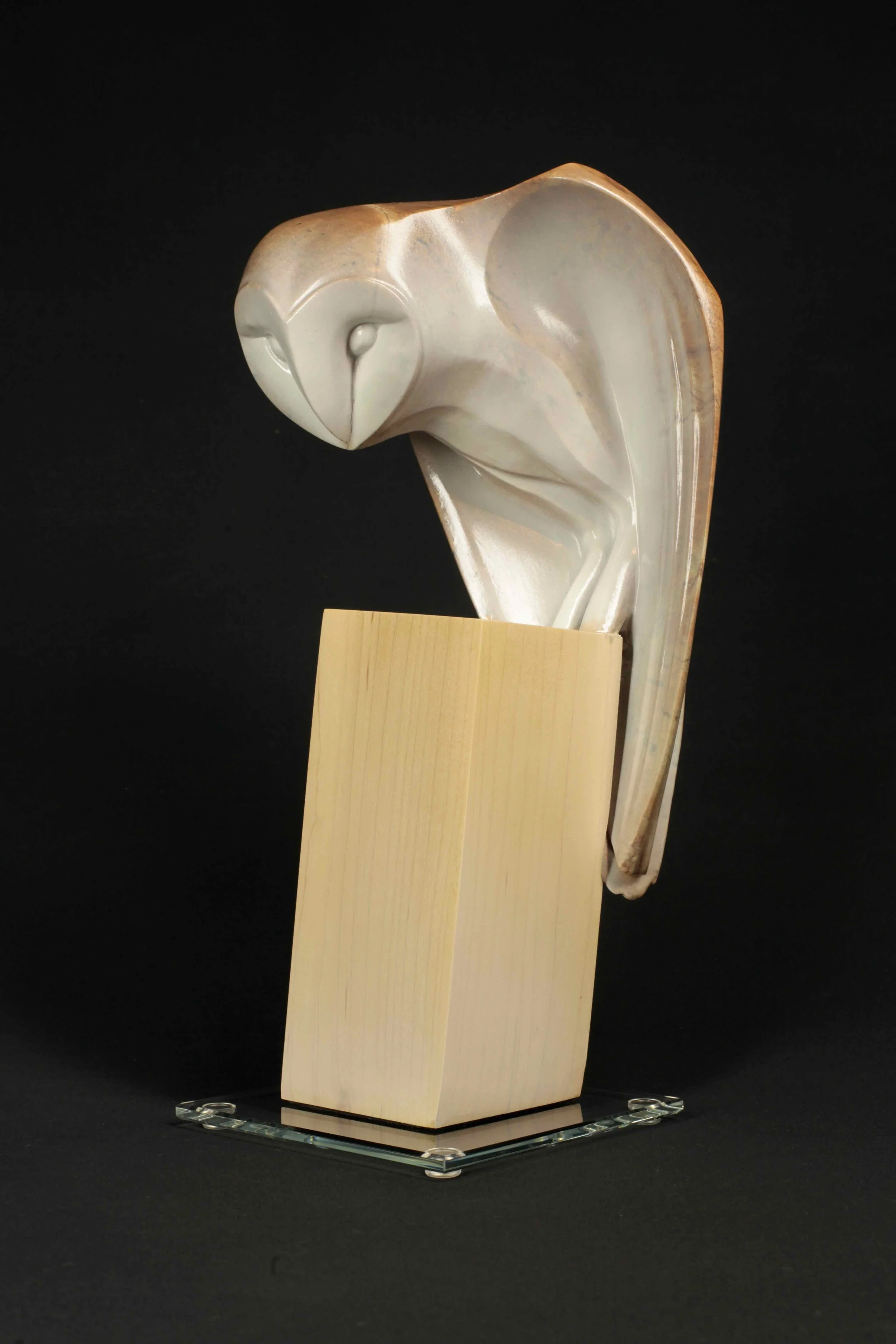 Nocturnae - Barn Owl - 2.jpeg