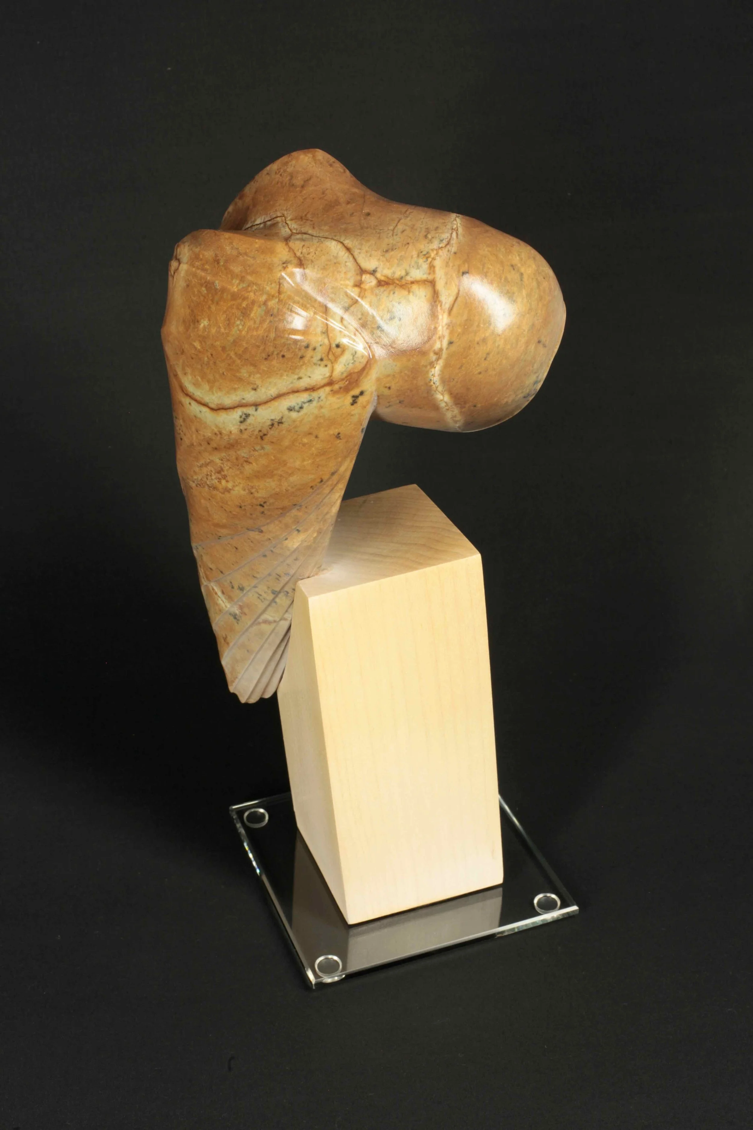 Nocturnae - Barn Owl - 11.jpeg