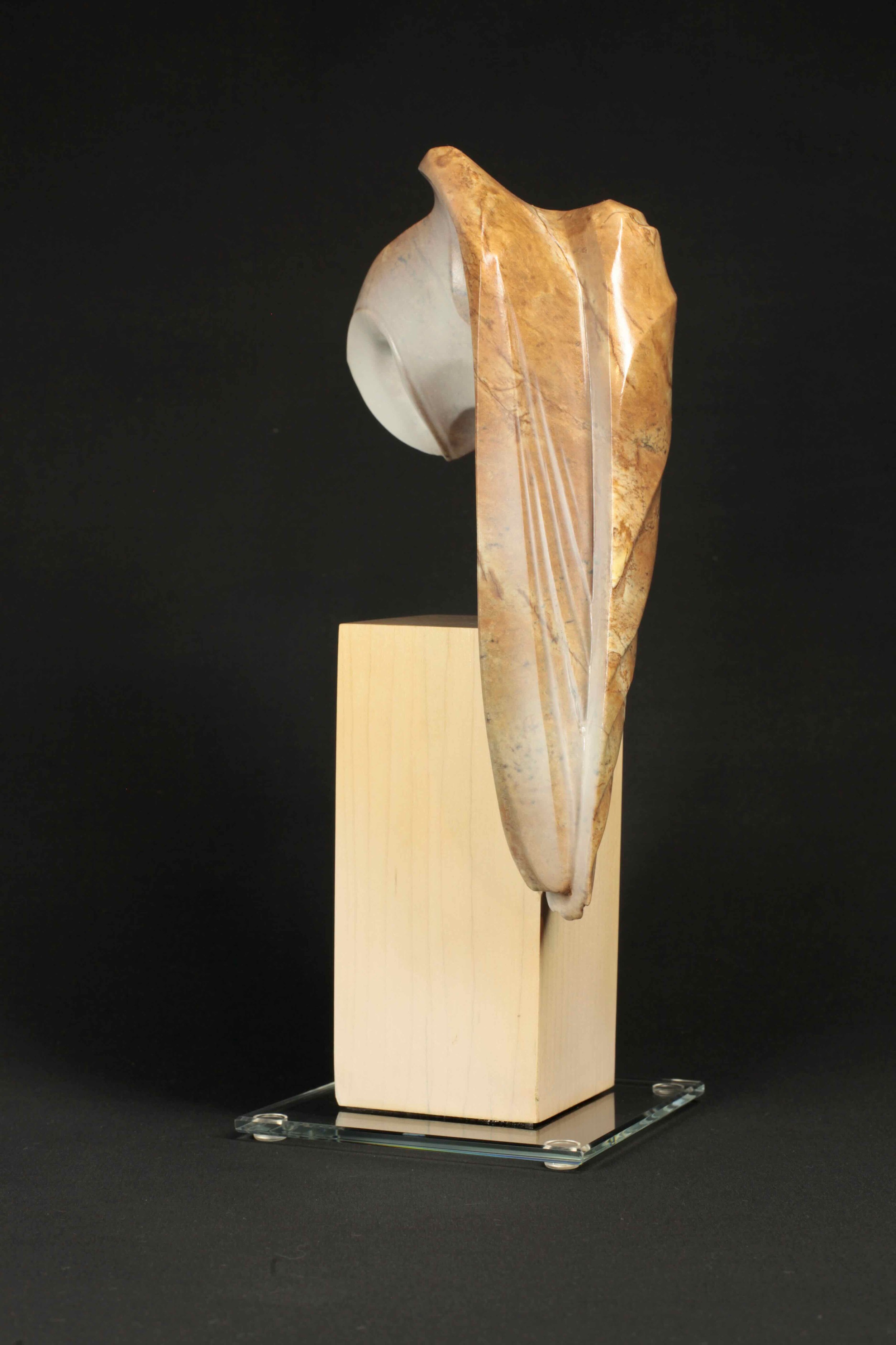 Nocturnae - Barn Owl - 4.jpeg