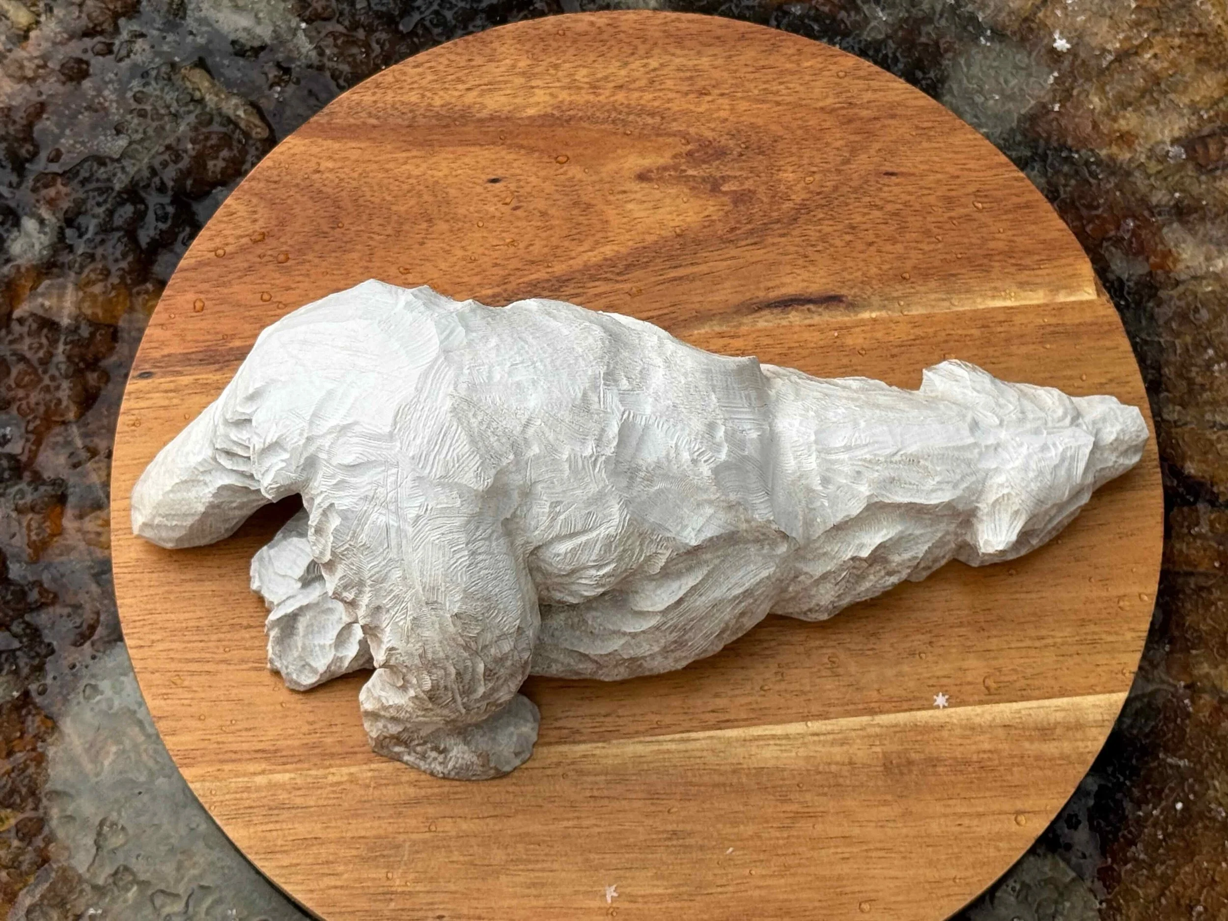 Clean Again - Polar Bear - 7.jpeg