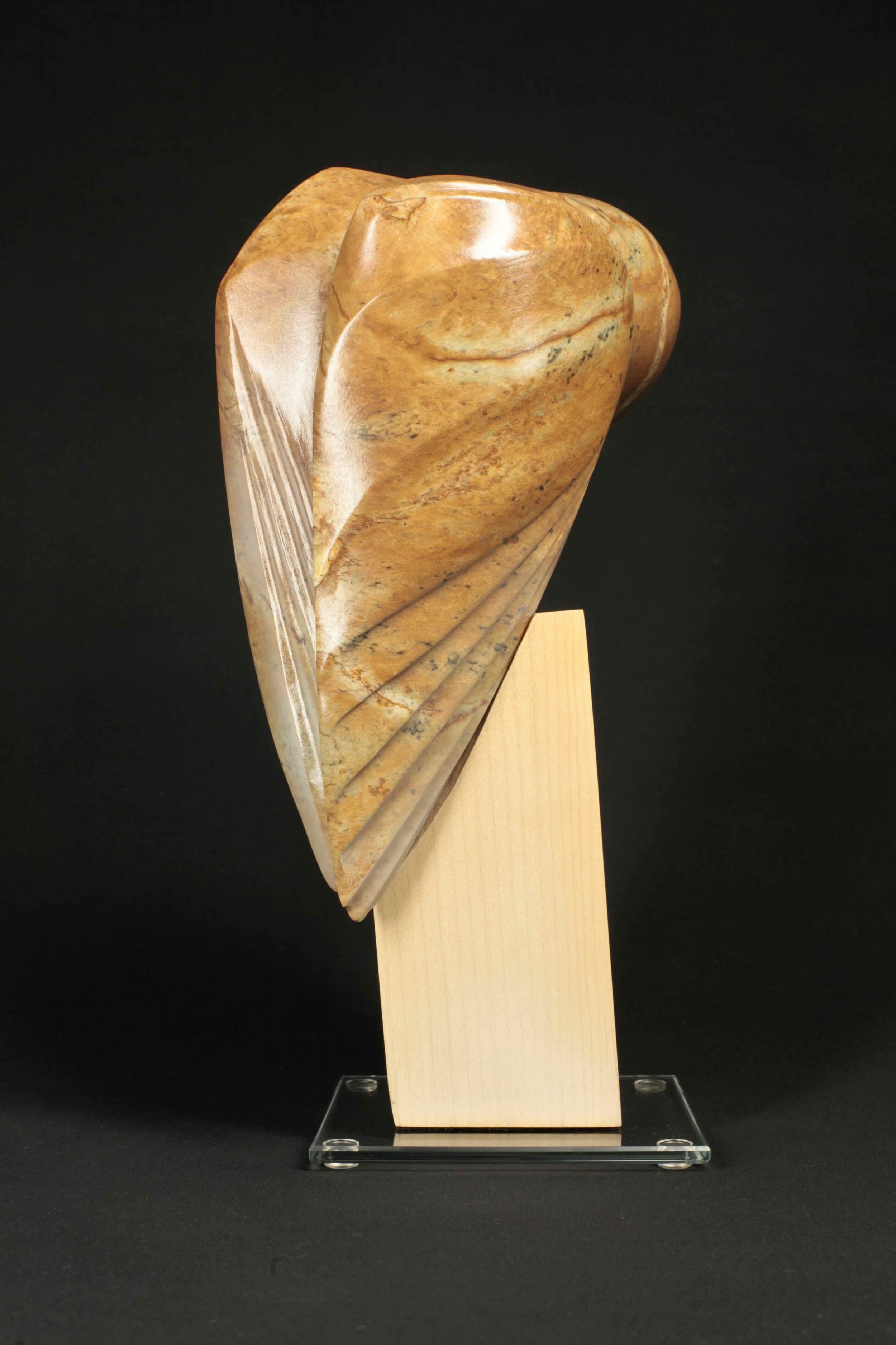 Nocturnae - Barn Owl - 5.jpeg