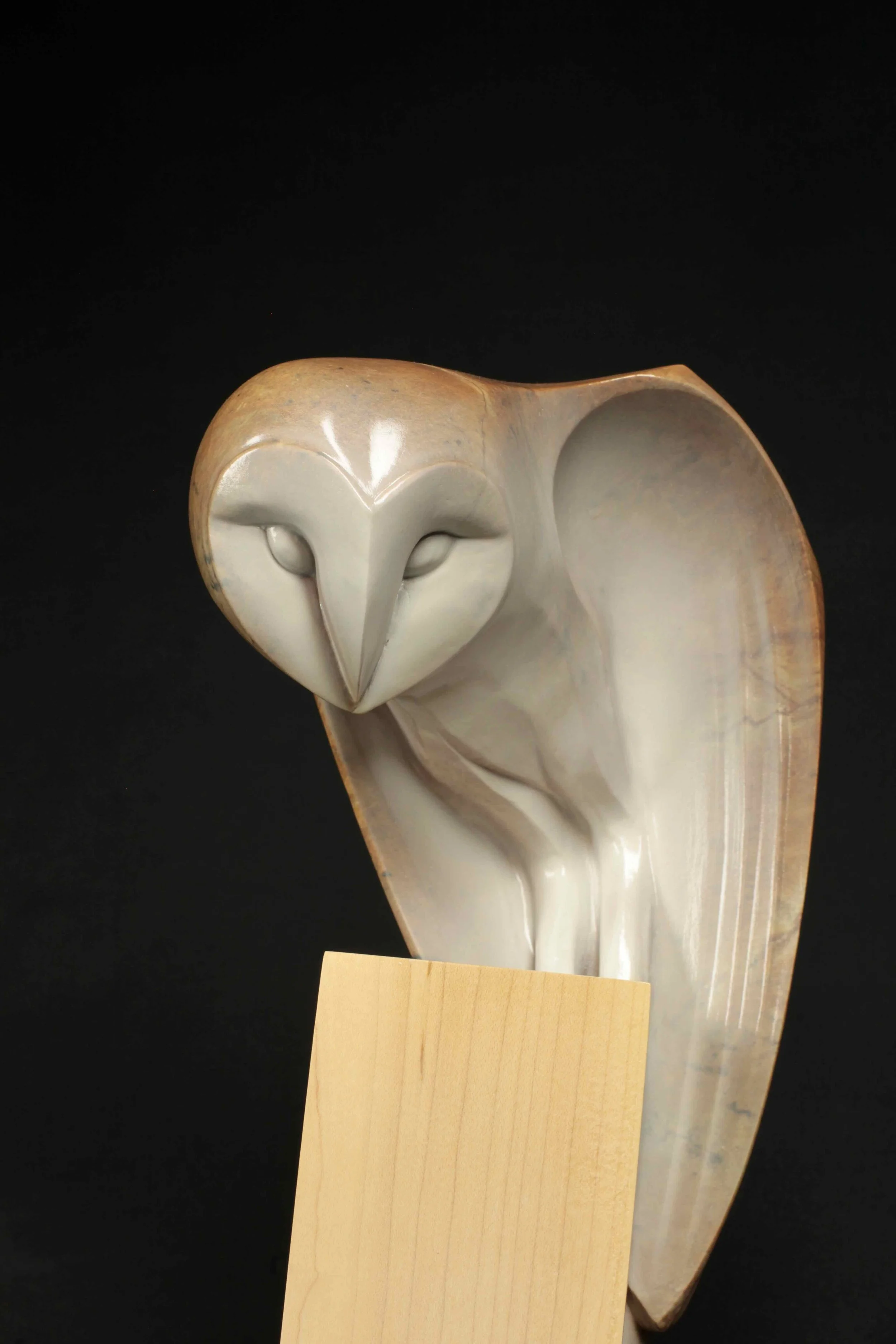 Nocturnae - Barn Owl - 9.jpeg