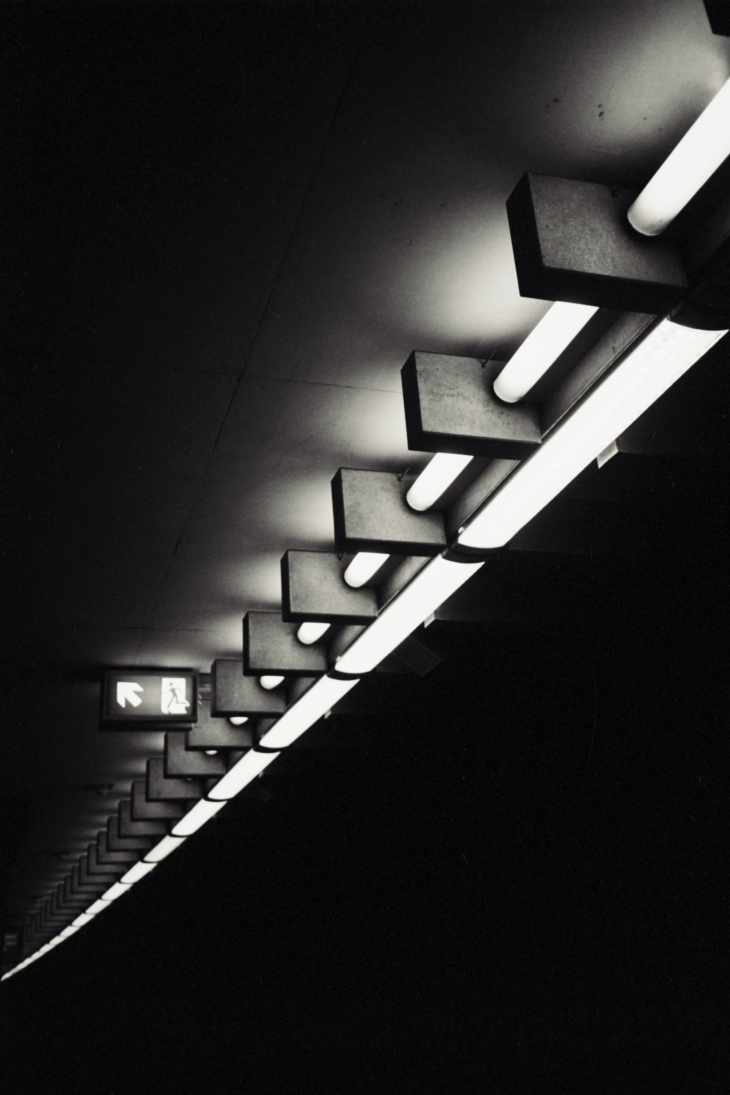 Sarah-Hutton2 2.jpeg