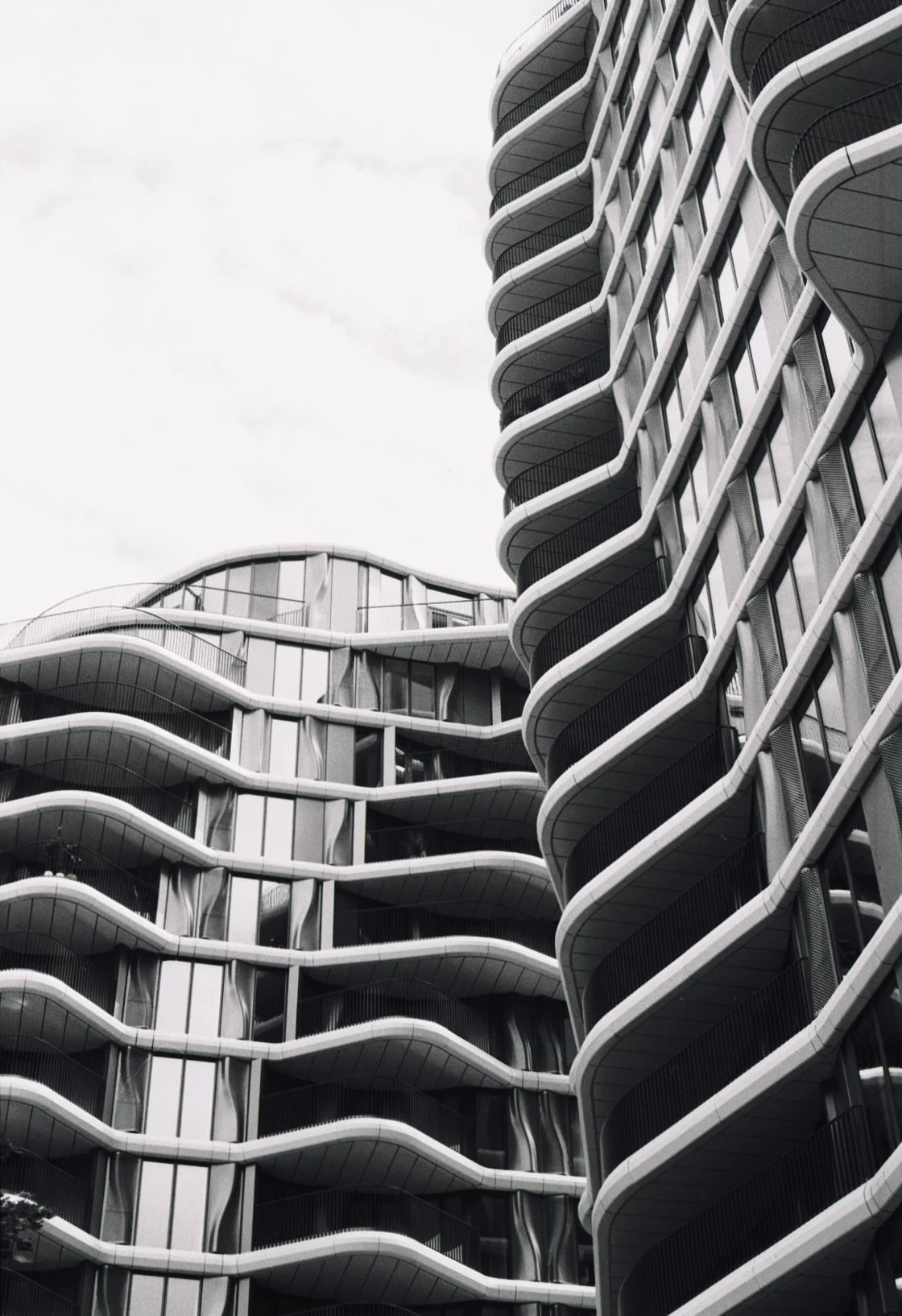 July 24 Ilford FP4 Plus - 1 of 2.jpeg