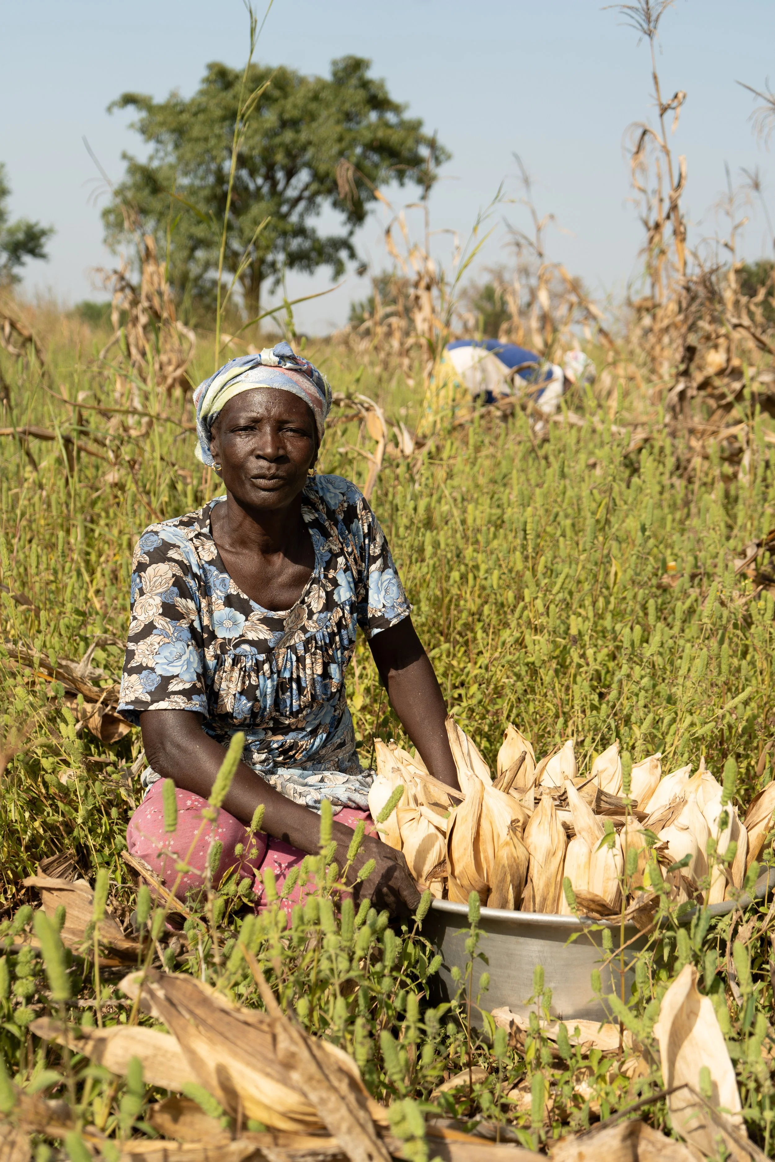 DSC07438 - x1920 unedited.jpg