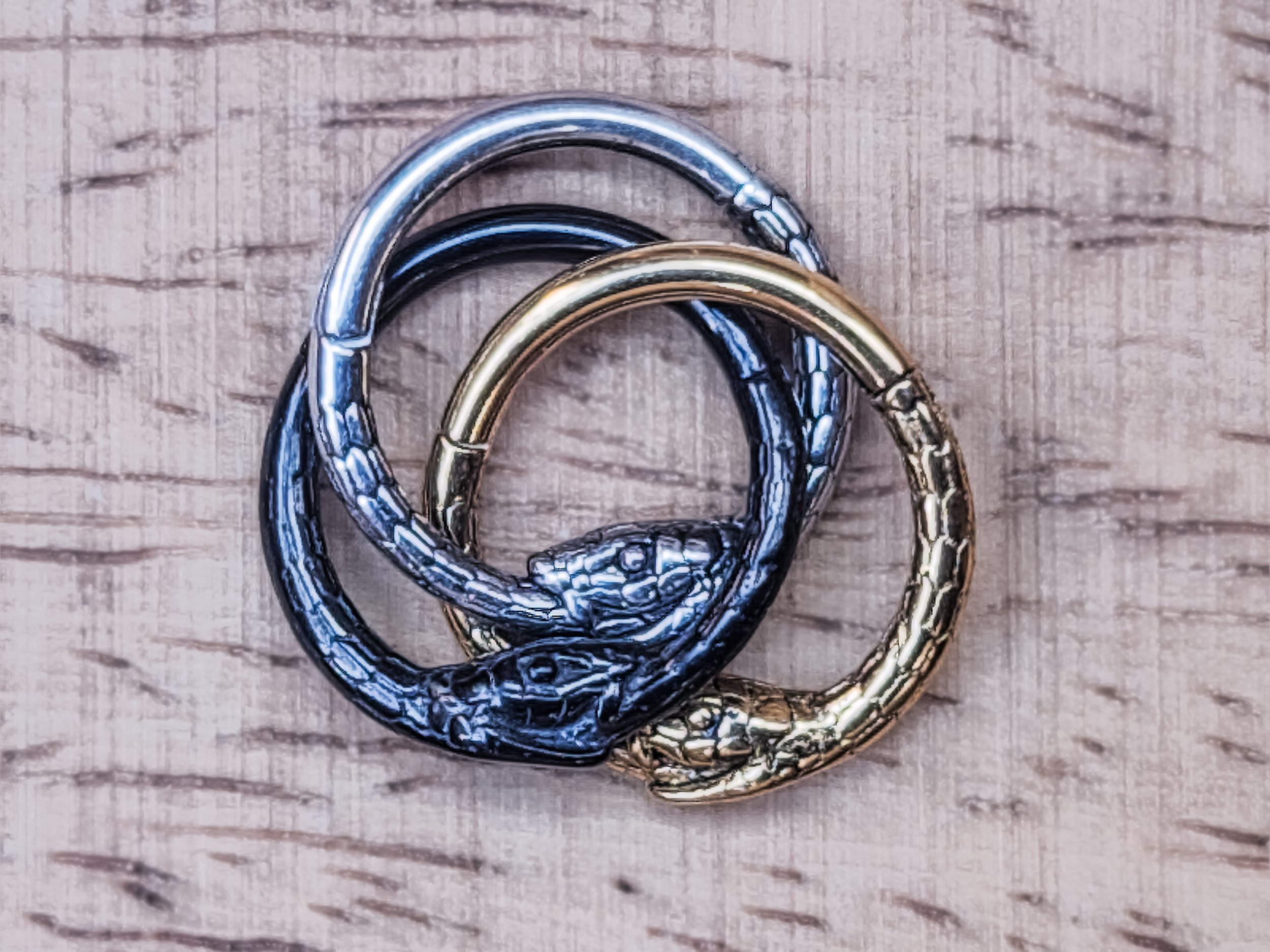 Ouroboros Coil - Surgical Steel Clicker Ring