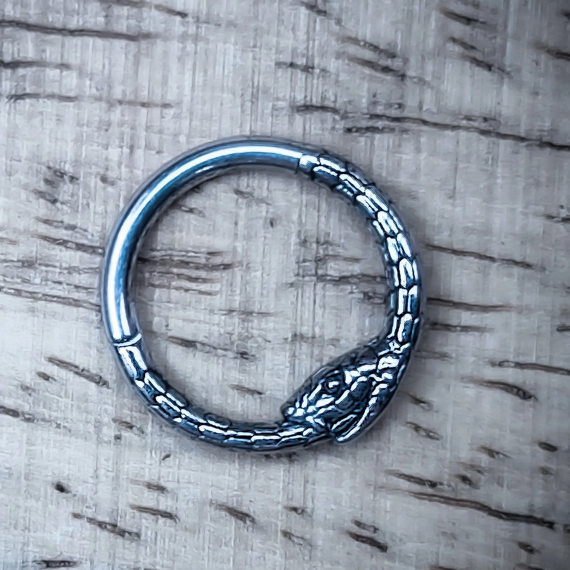 urgical steel Ouroboros clicker ring featuring a serpent biting its tail, with clean metallic shine and textured scale work; designed for septum or daith piercings.