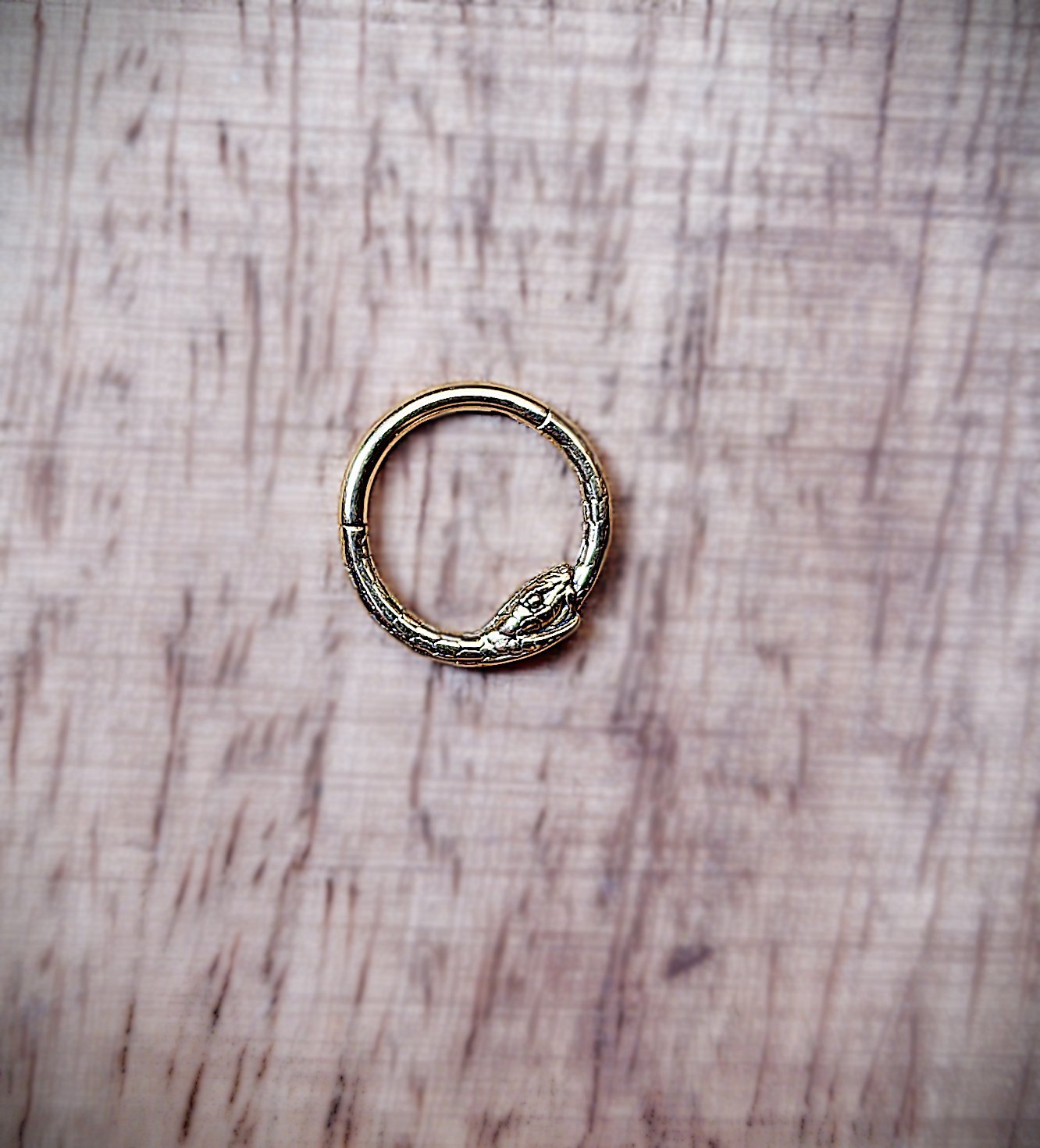 Gold-tone Ouroboros clicker ring shaped like a snake eating its tail, with detailed scales and a polished finish; suitable for septum or daith piercings.