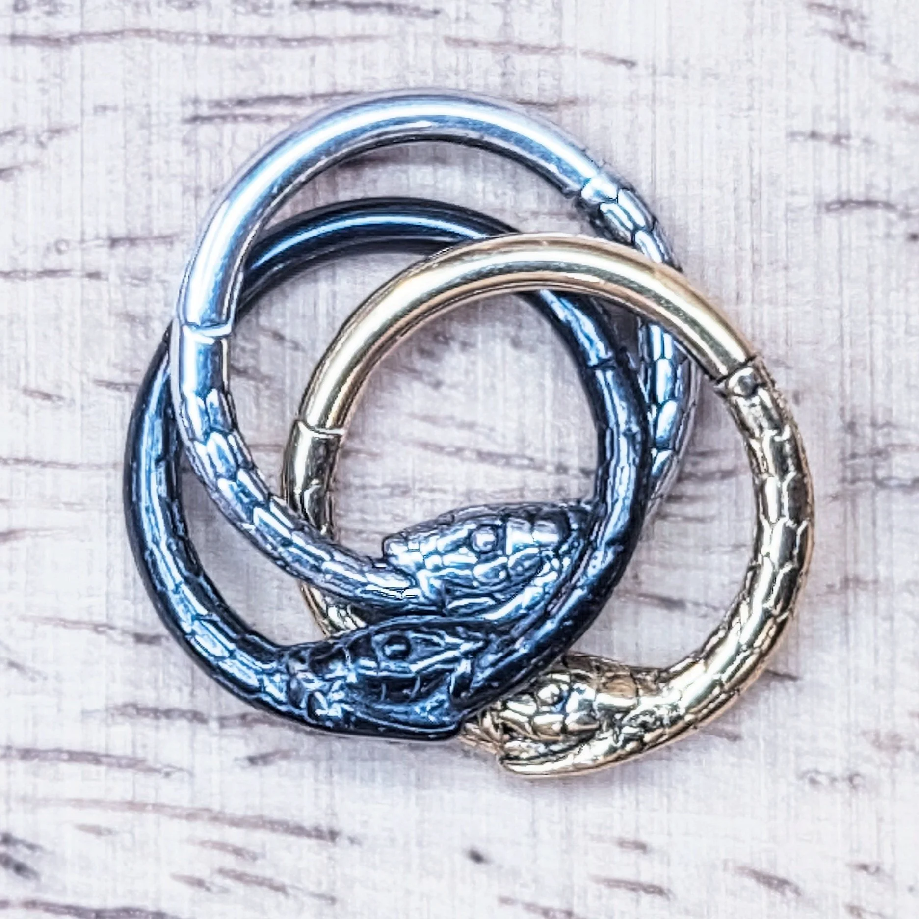 Ouroboros Coil - Surgical Steel Clicker Ring