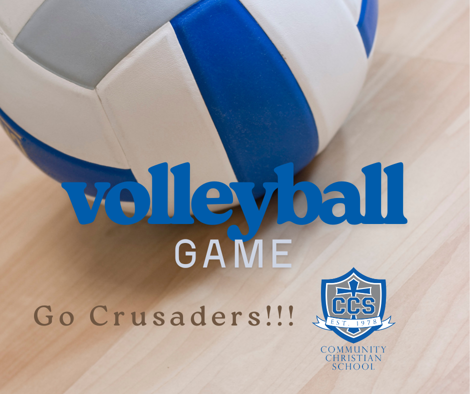 Volleyball Game