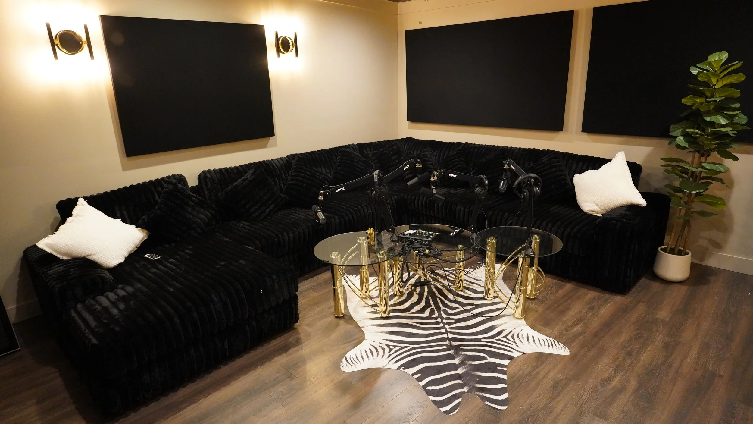 A cozy black velvet sectional sofa with white pillows, a zebra print rug, a glass coffee table with gold legs, three black microphones, and a media setup, in a room with soundproof black panels and wall sconces, with a plant in a white pot.