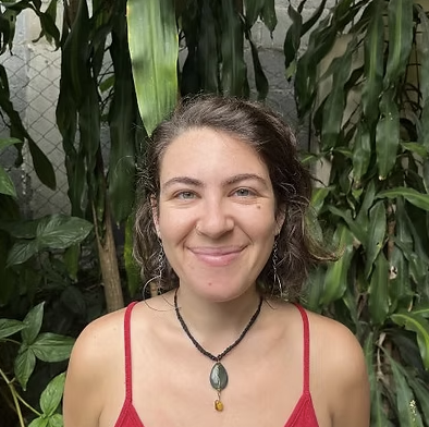 Screenshot 2025-06-30 at 2.34.55 PM.png