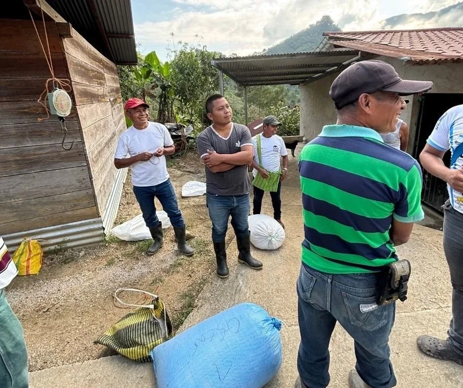 75beab_f9536e4fc537461c95d237ad8f613706~mv2 2.jpeg