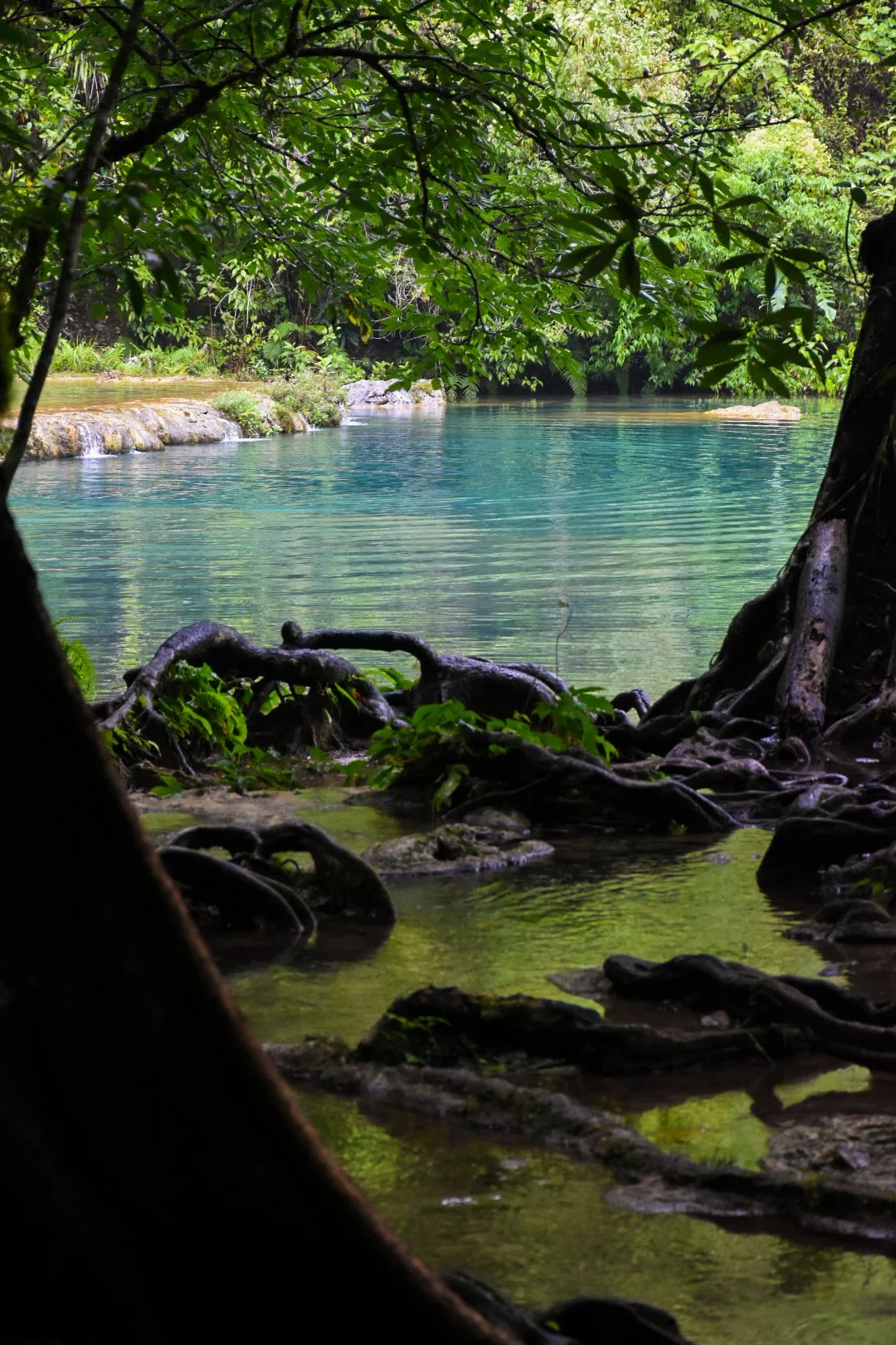 semuc champey pools nature guatemala travel