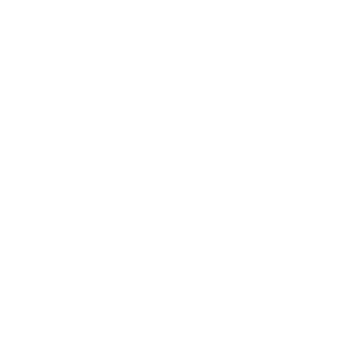 Decorative floral pattern with symmetrical petal and leaf design in black and white
