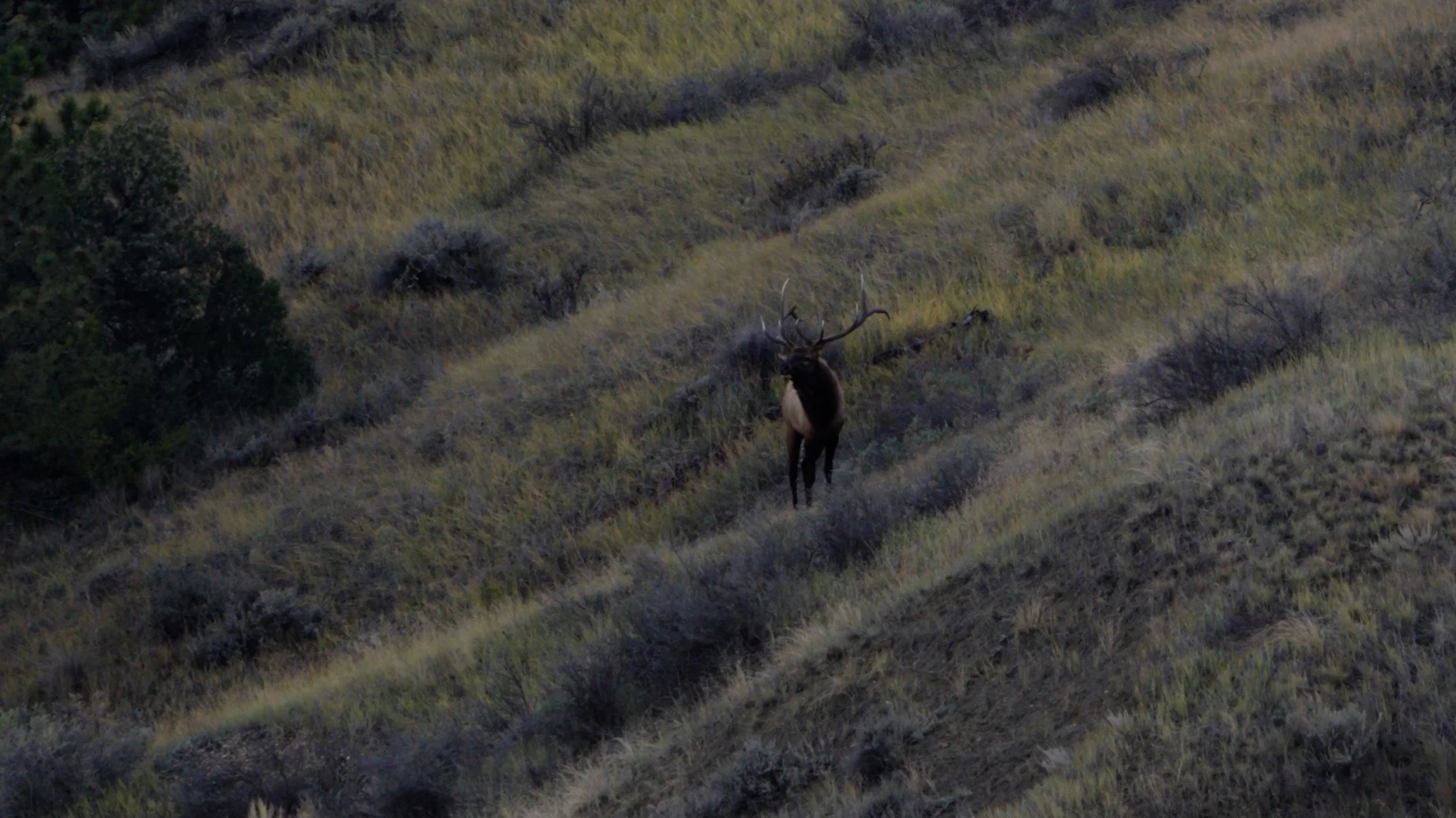 C0547.00_38_53_12.Still034.jpg