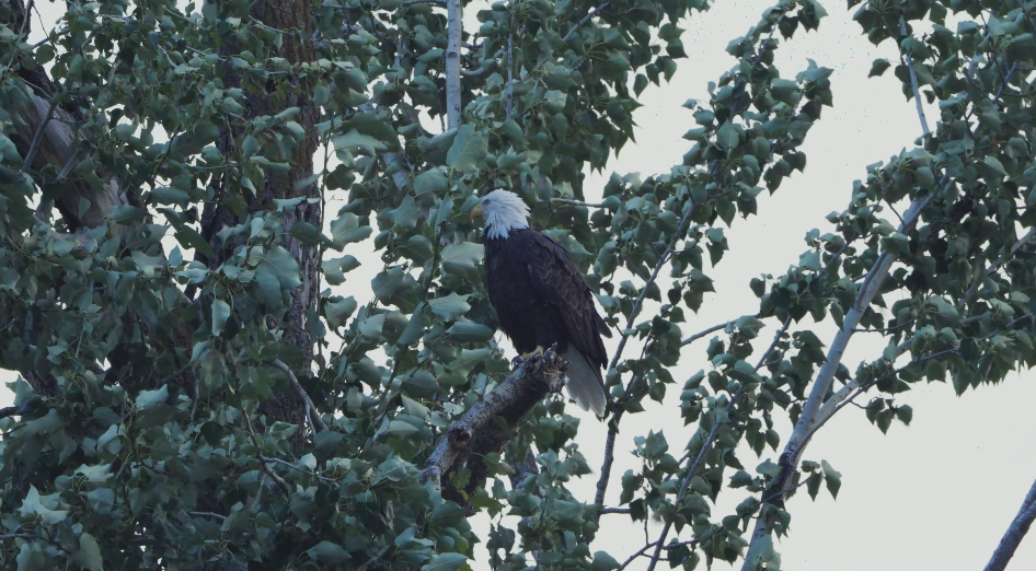 Screen Shot 2025-10-19 at 6.18.08 PM.png