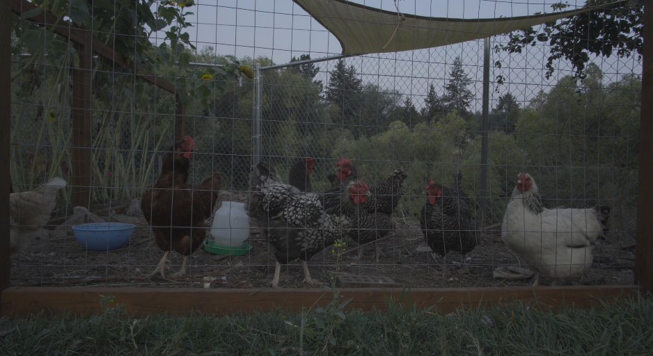 Screen Shot 2025-10-19 at 6.13.26 PM.png