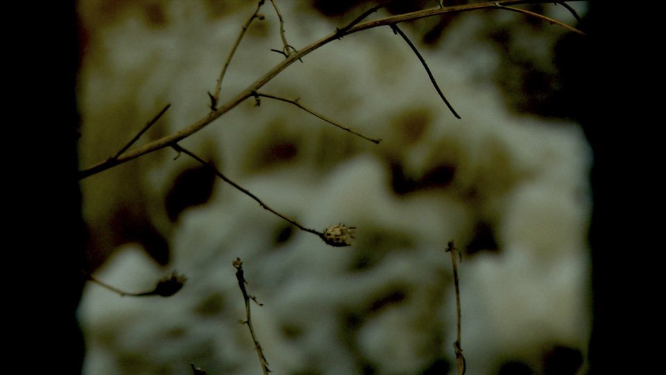 Sequence 01.00_01_28_16.Still004.jpg
