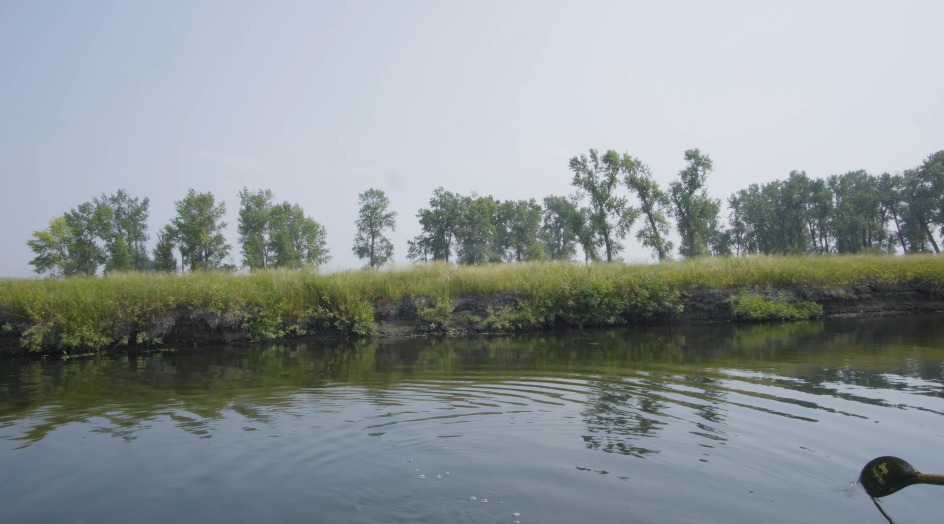 Screen Shot 2025-10-19 at 6.16.47 PM.png