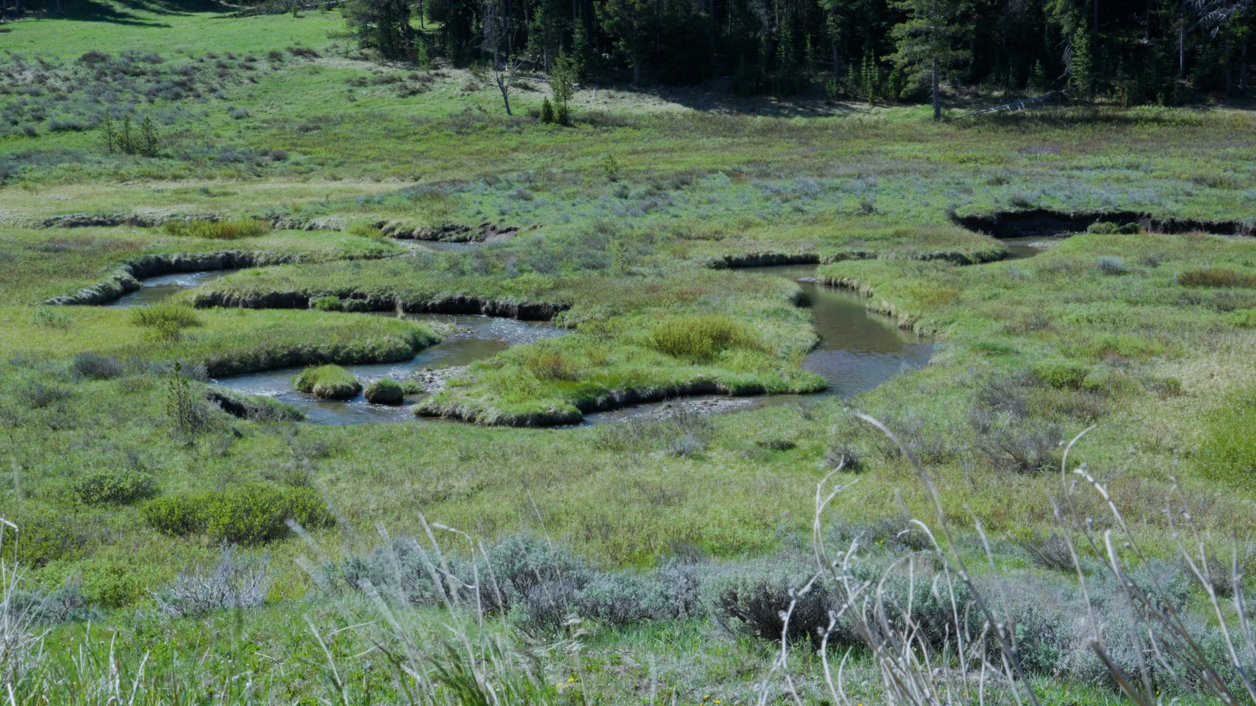 C0547.00_47_26_10.Still035.jpg