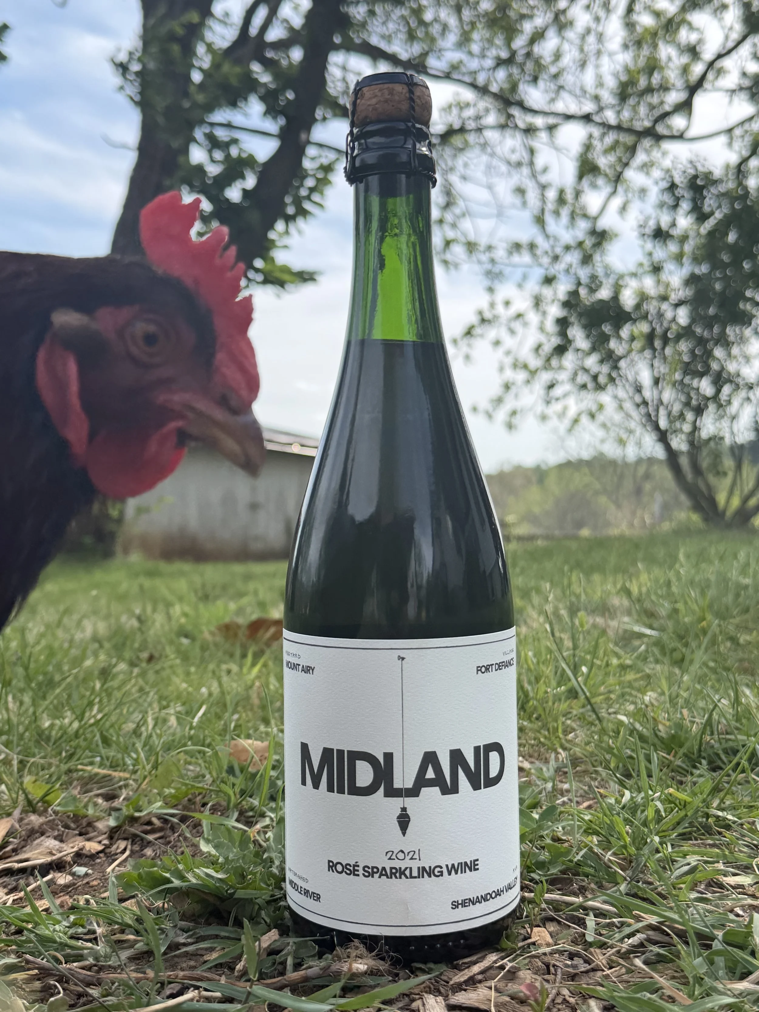 2021 Rosé Sparkling Wine