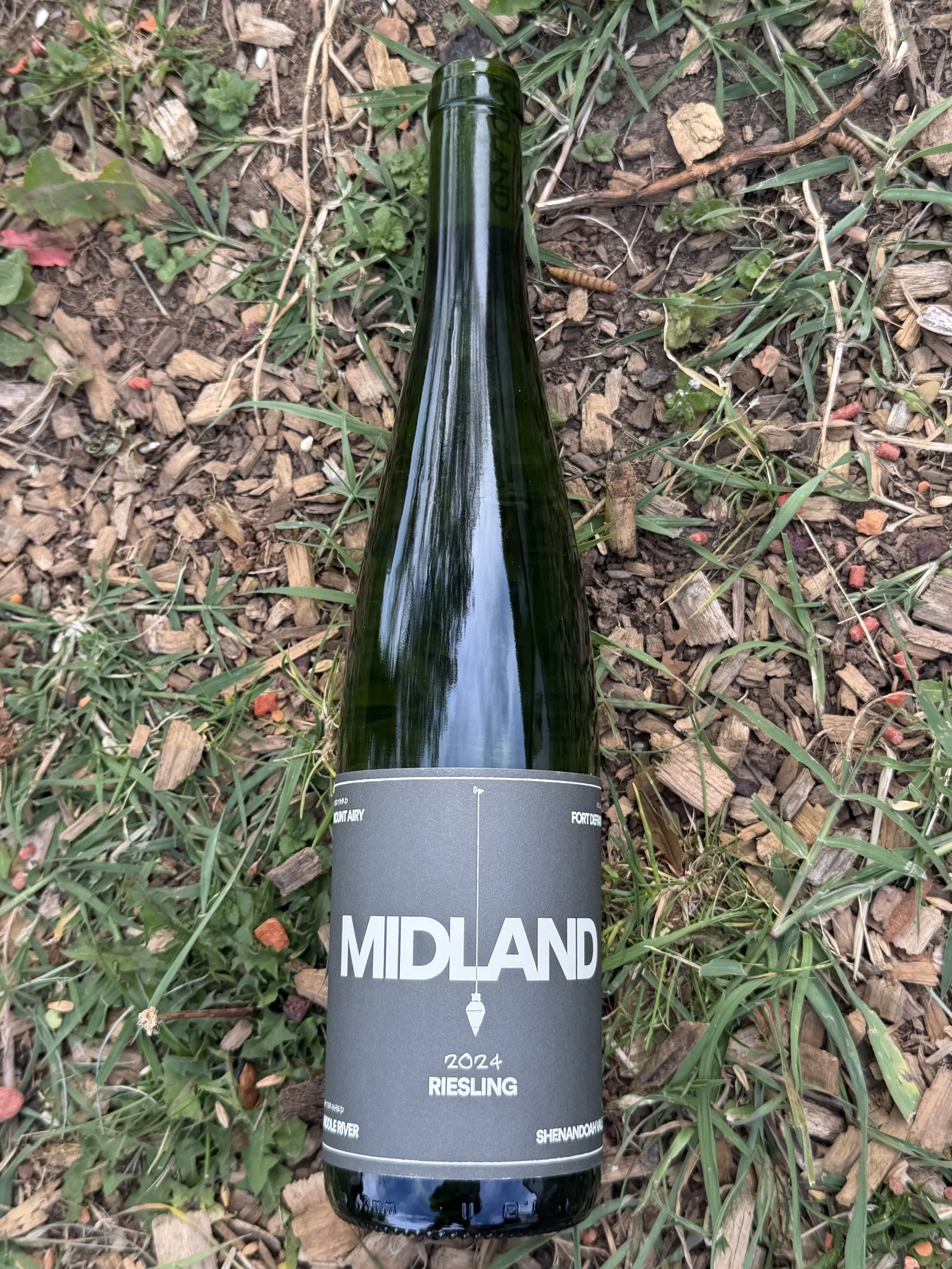 2024 Riesling
