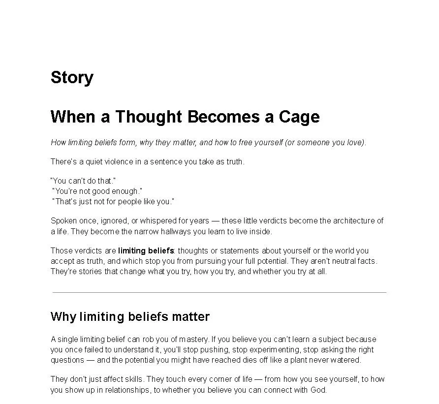 Limiting Belief's Preview - 2.JPG