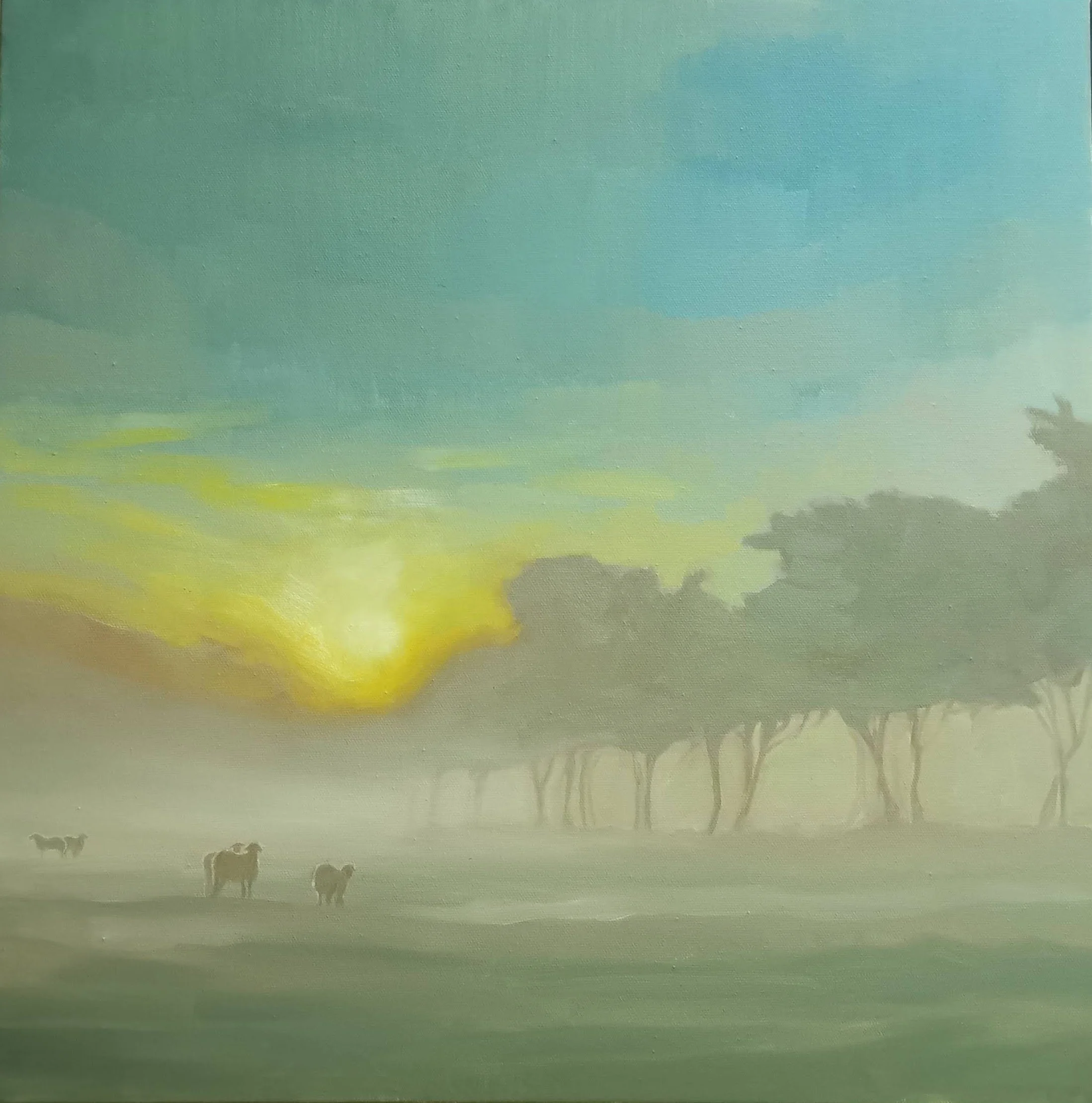 Softness of Sunrise
