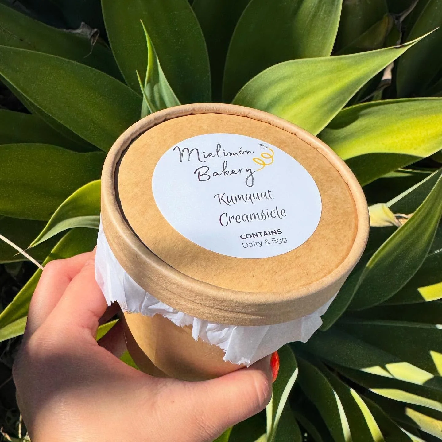 Summer Flavor Highlight:
K U M Q U A T C R E A M S I C L E π
All of our ice creams are made in house completely from scratch and this one in particular has a very special place in my heart.
If you love an orange cream bar or an orange julius from