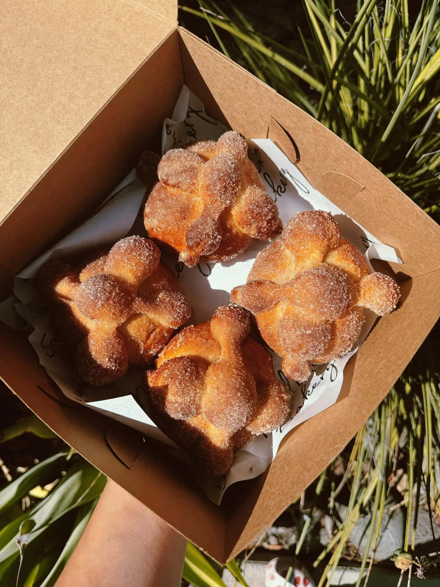 Happy Monday everyone! 
🤍🤍🤍
Friendly reminder that you&rsquo;re able to place your order for Pan de Muerto any day this week, for pick up the next day! 
Place your order on our website before 6 and we will have it freshly baked and ready for you t