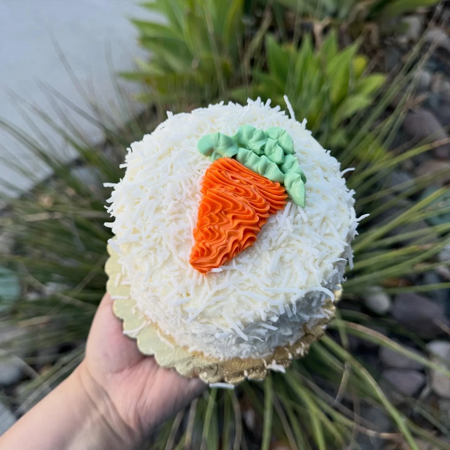 🥕Hop on into the bakeshop this weekend for an Easter treat! We have 3 layer, 5 inch carrot cakes in the fridge this Thursday, Friday, and Saturday! 
🥕They serve 1-4 servings and are 100% made from scratch by our hard-working team 🧡
🥕These cakes d
