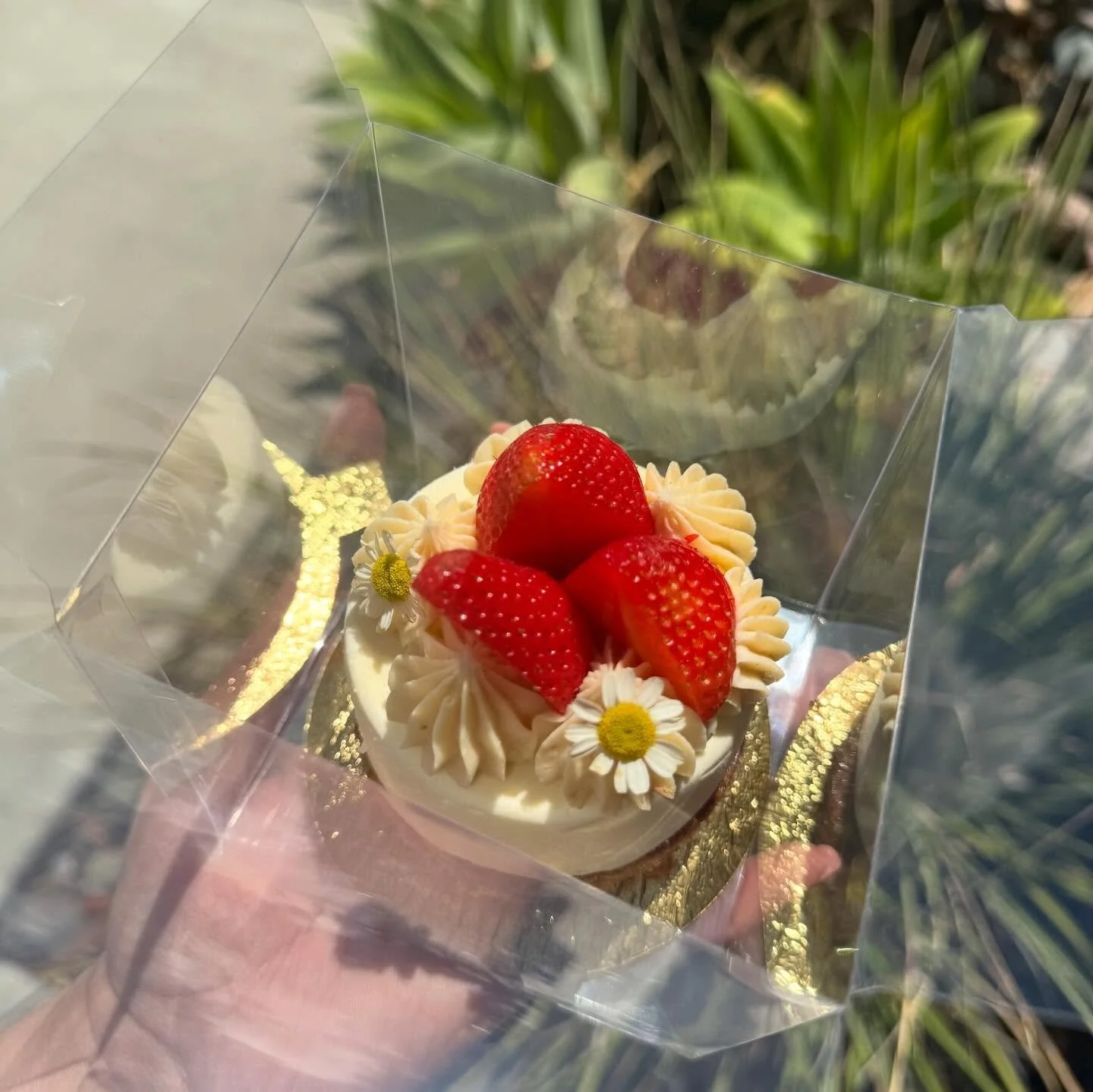 🌸We are stocking up on sweet treats for all the mamacitas out there, from personal sized cheesecakes and pavlovas, to our fudgy brownies and colorful macarons! 

🌷We will have all these and more stocked up for the week! 

🌻Stop in, we are open fro