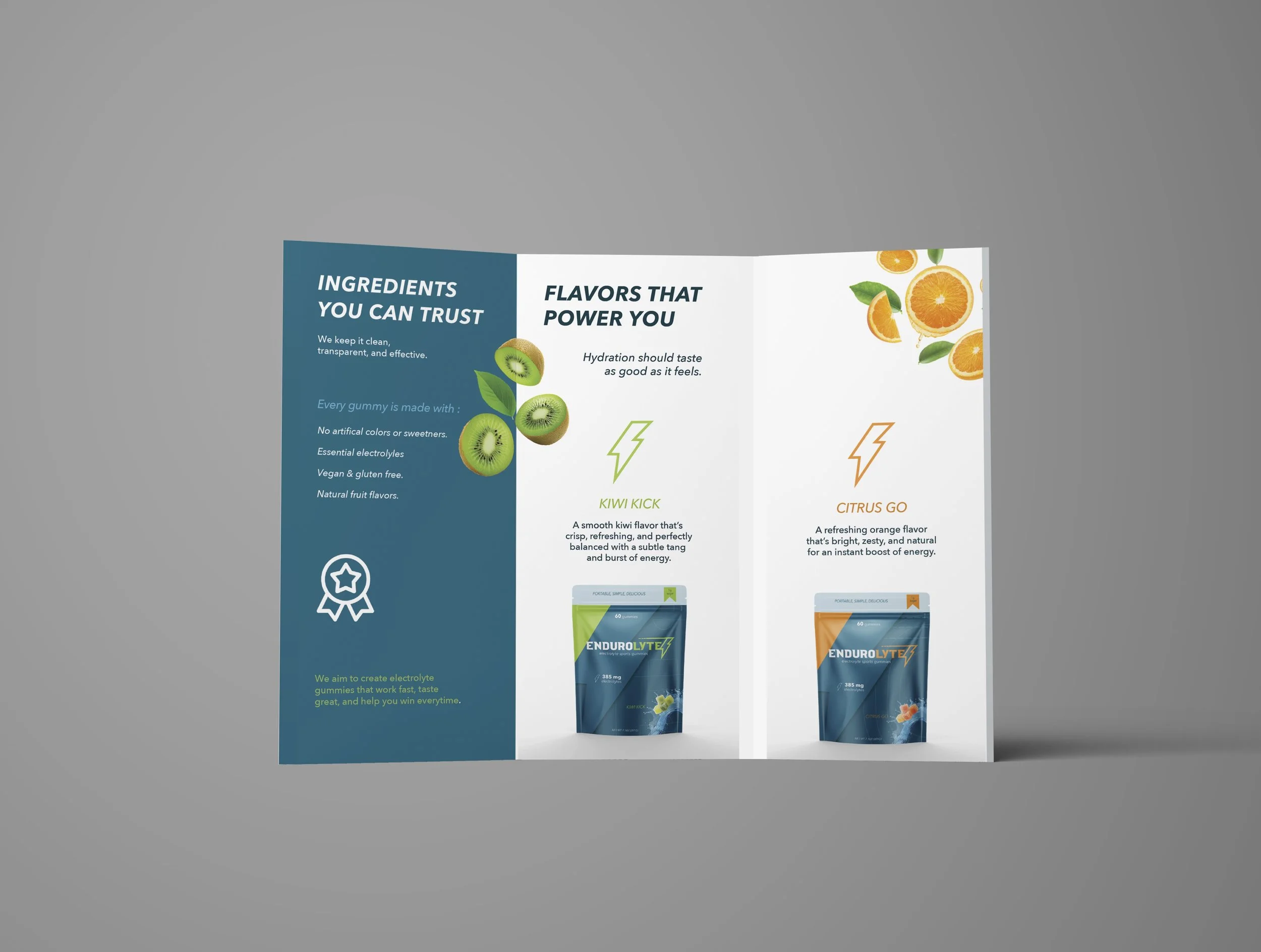 Endurolyte Brochure Side Two.jpg