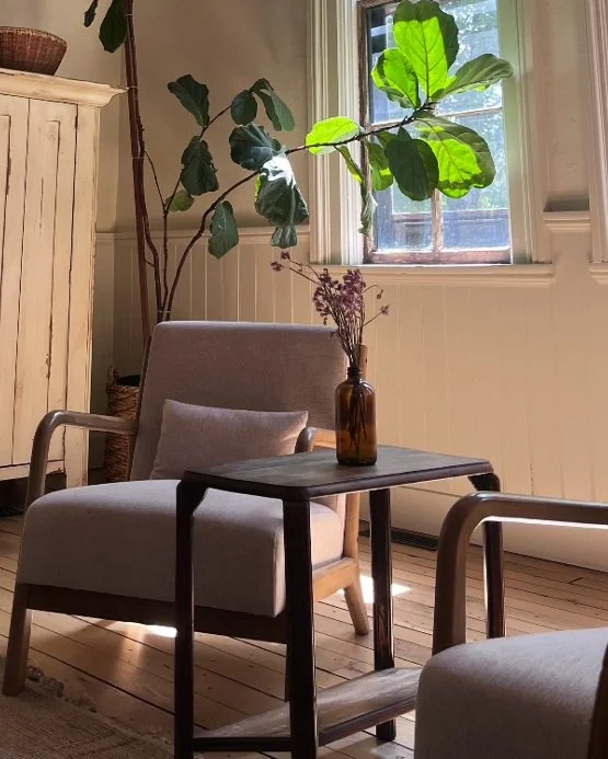 A cozy interior scene with a beige upholstered armchair, a small dark wooden side table with a brown vase holding dried flowers, a tall houseplant with large green leaves, a window with white framing, and a wooden cabinet in the background.