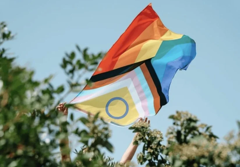 Person holding a rainbow pride flag above trees against a blue sky.