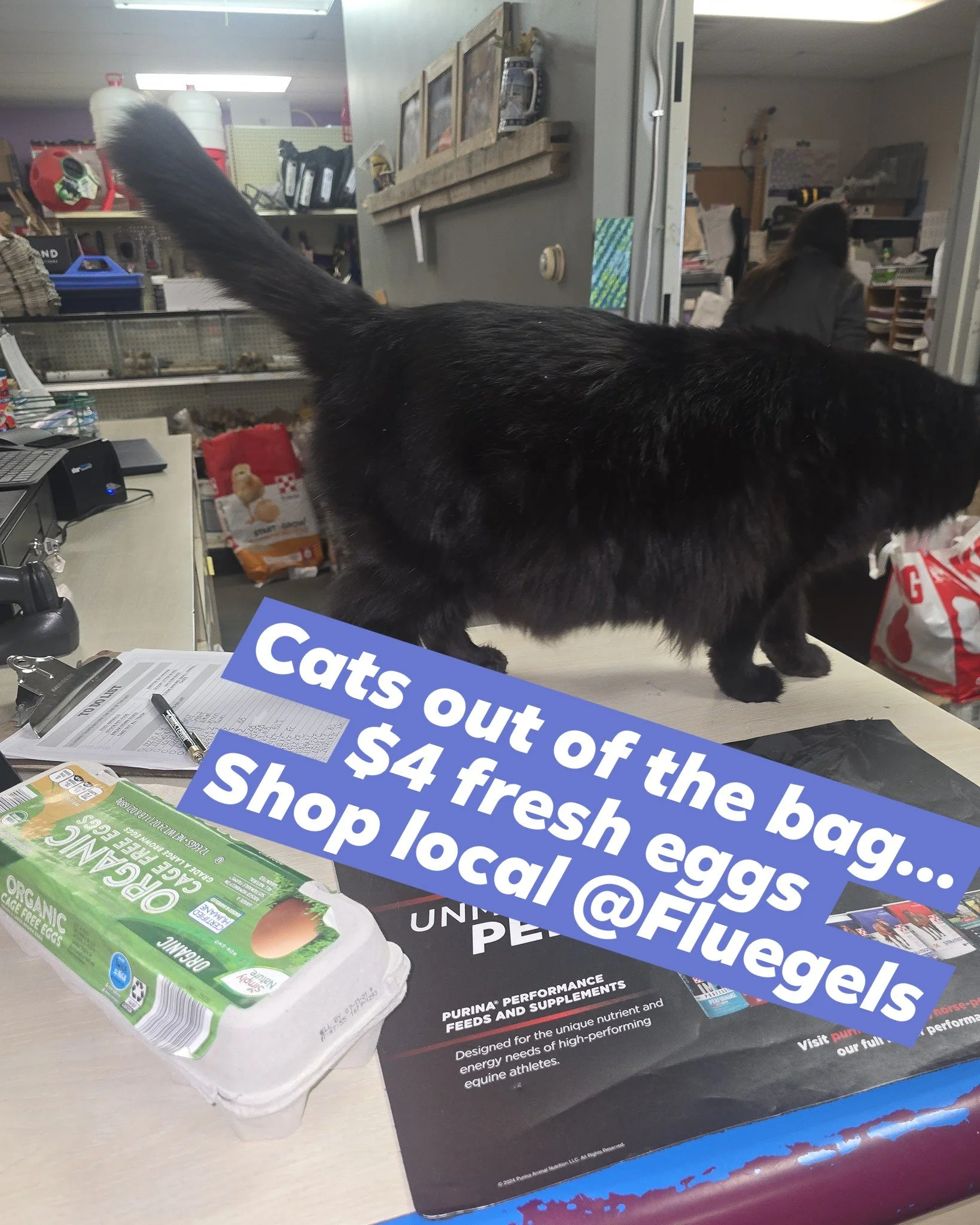 #Shoplocal #supportsmallbusinessowners  #cleaneating #healthypets @fluegels_hastings