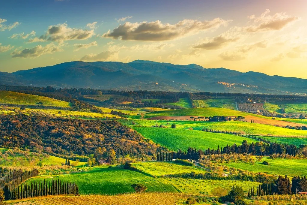 Scenic view of rolling green hills and farmland with mountains in the background under a partly cloudy sky during sunset.