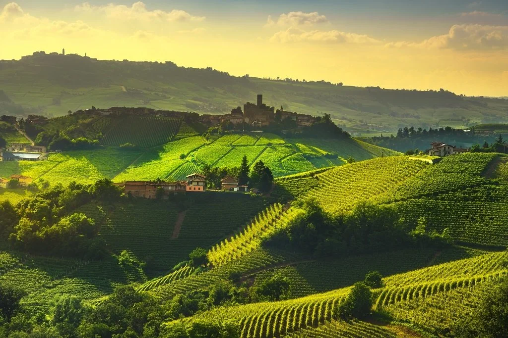 Exclusive Piedmont, Italy's Wine Region
