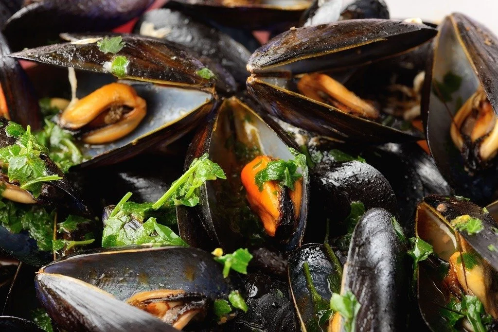 Explore Italy's Culinary Wonders: Food, Wine, and Cooking Adventures Await