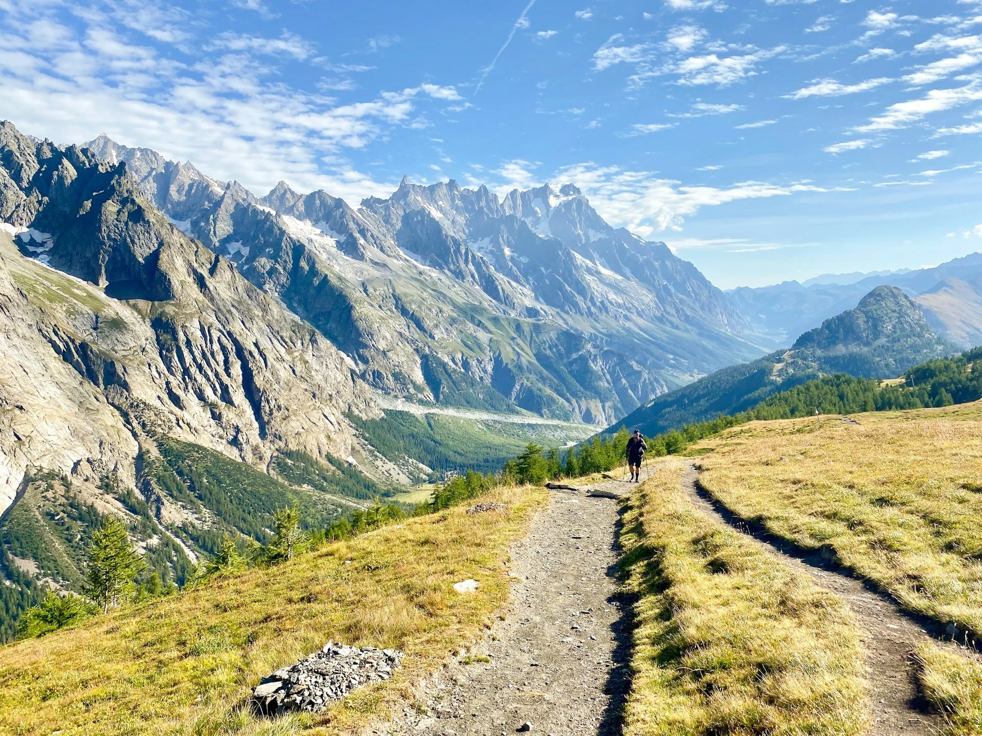 Scenic hiking trail through an alpine meadow, part of Tour du Mont Blanc (Monte Bianco).