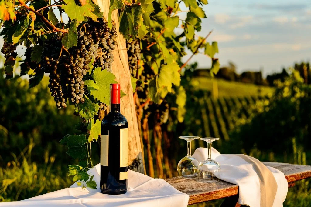 A bottle of red wine, two upside-down wine glasses, and a white cloth on a wooden table in a vineyard at sunset.