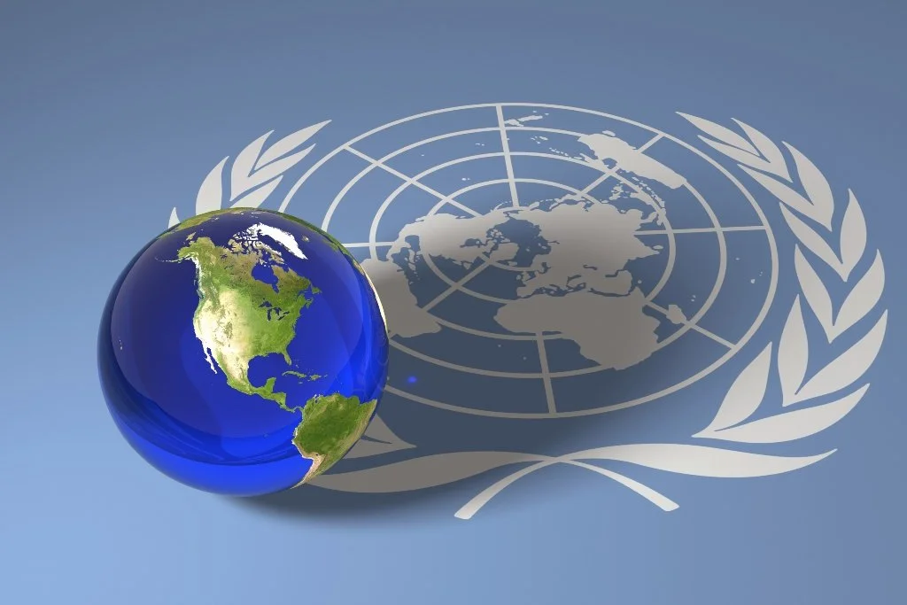 The United Nations emblem with a globe showing North and South America, overlaid on a flag with a world map and wreath.