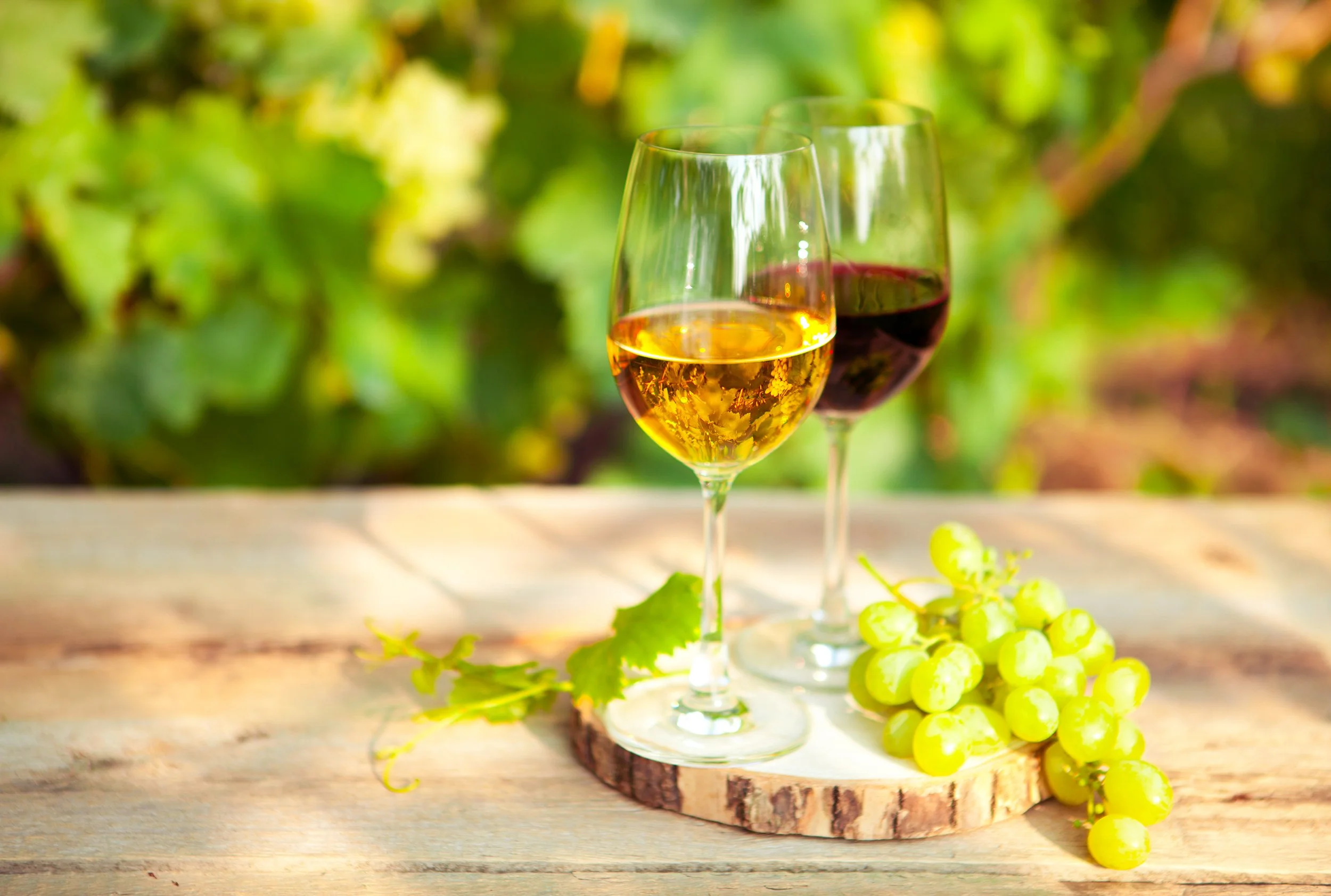 Two glasses of white and red wine on a wooden surface with a bunch of green grapes and leafy vine, with a blurred green and brown background.