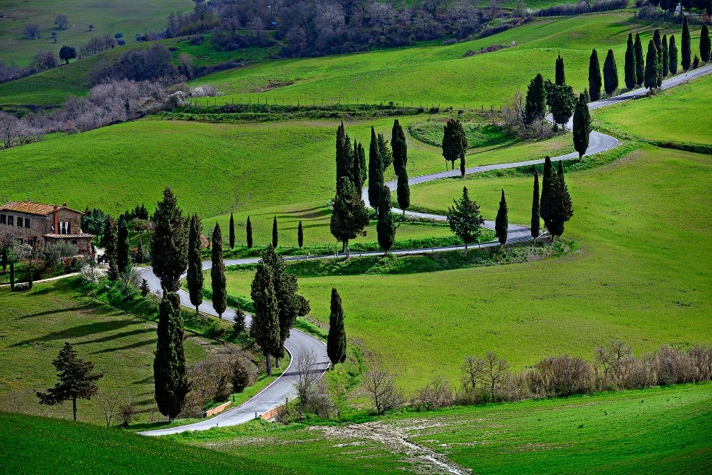 Winding road through green rolling hills with cypress trees and a house in the distance