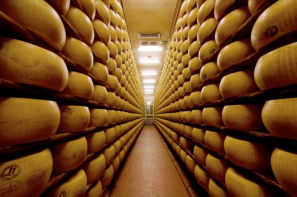 Large storage room lined with shelves of cheese wheels on both sides, narrow aisle in the middle, and fluorescent lights on the ceiling.
