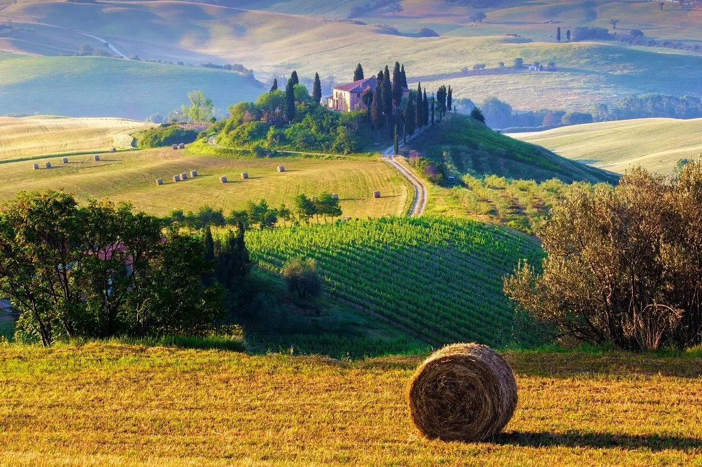 Rolling Tuscan hills with a farmhouse, winding dirt road, vineyards, hay bale, and trees in golden sunlight.
