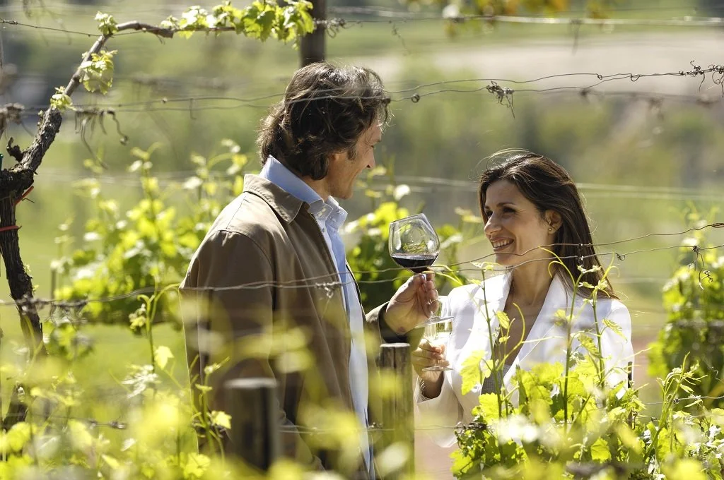 A man and woman standing in a vineyard, smiling and clinking glasses of red wine, surrounded by grapevines.